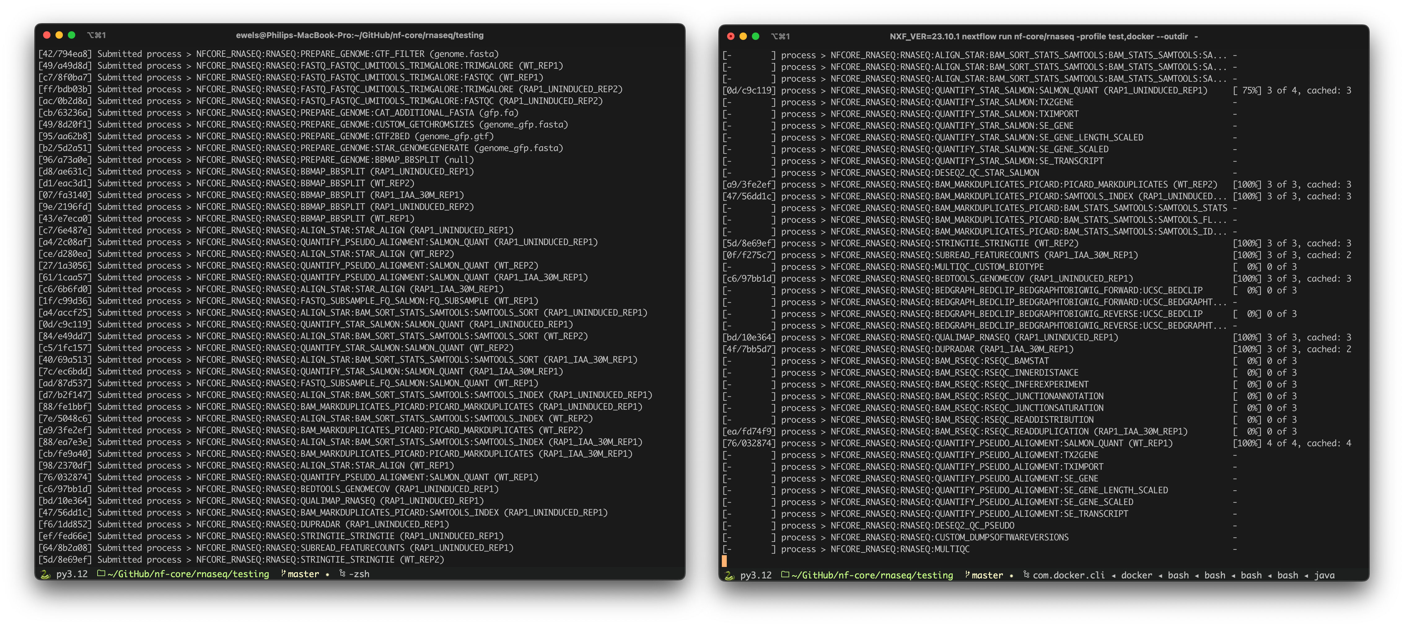 Nextflow console output with and without ANSI logging