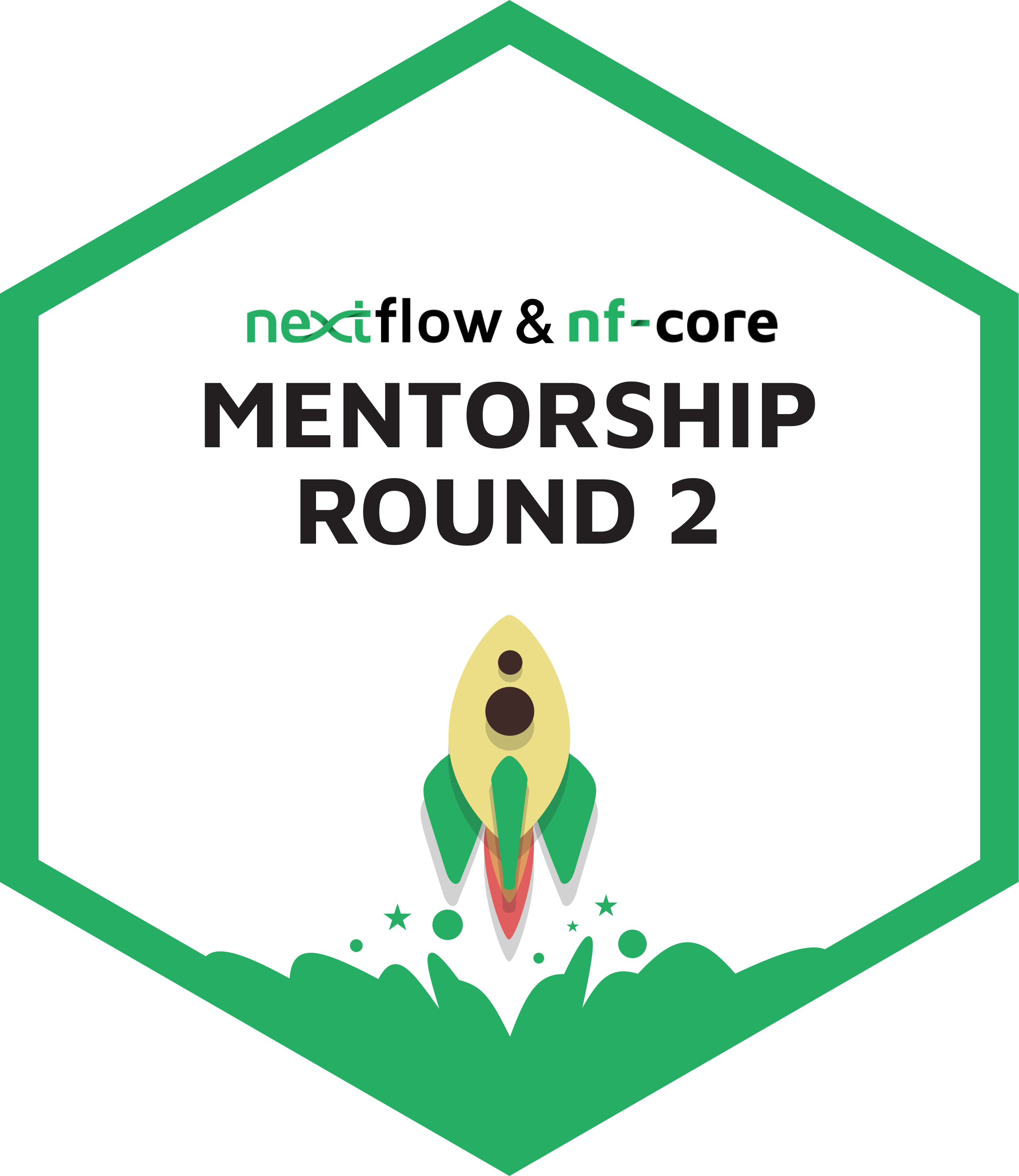 Mentorship rocket.